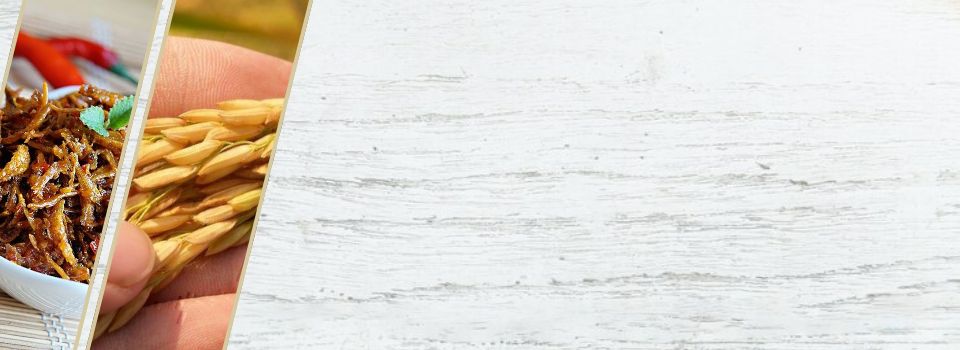 banner-image